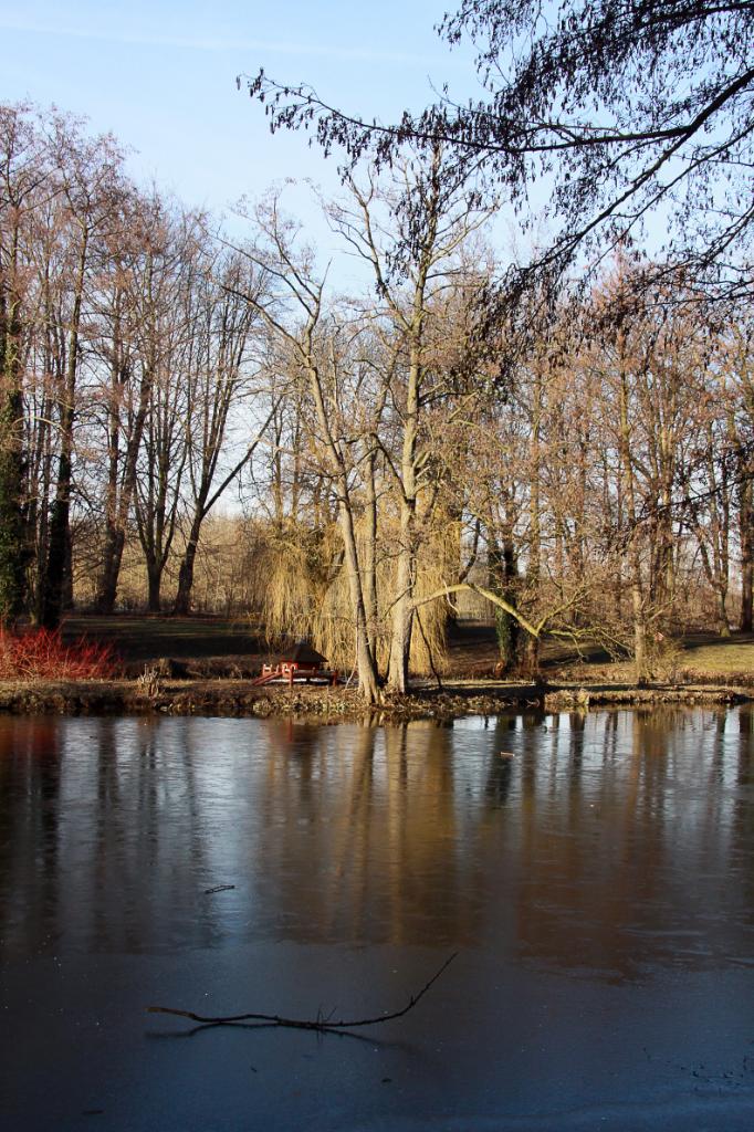 Kurparkteich in Hamm.JPG - Kurparkteich in Hamm